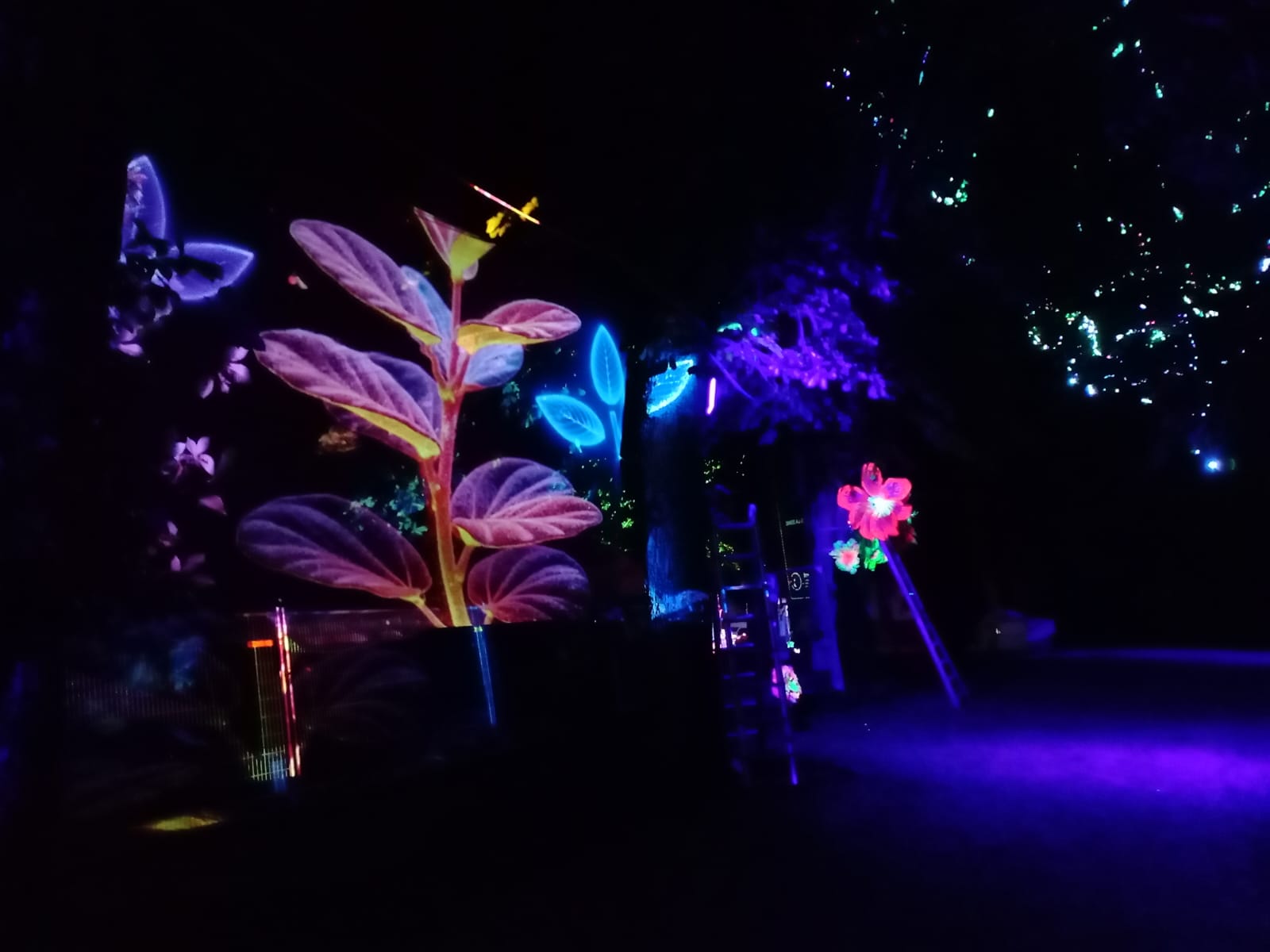 Château Perché — allée immersive nuit bleue